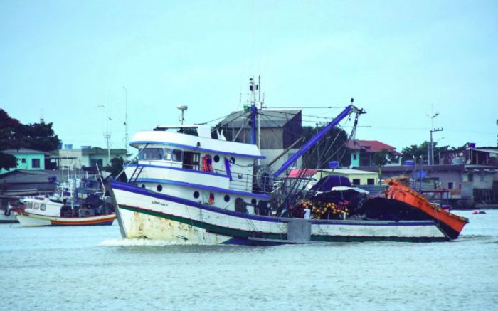 Pesca da tainha com traineiras está proibida para a safra 2023 nas regiões sul e sudeste (Foto arquivo)