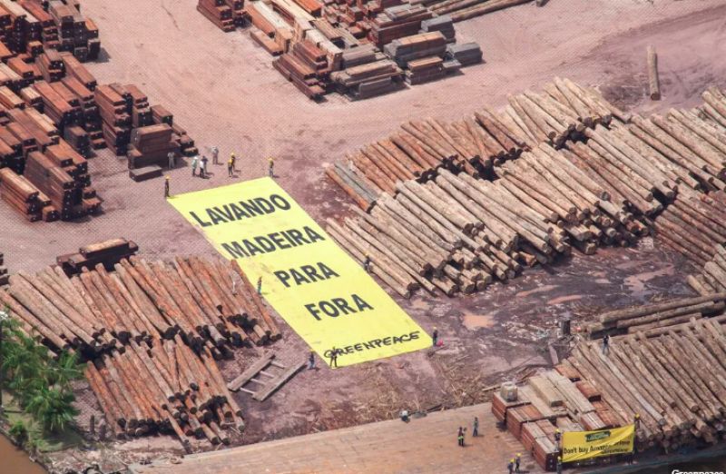 Madeireira Pampa, multada 12 vezes pelo Ibama, foi alvo de manifestação do Greenpeace em 2014 (foto: divulgação greenspace)