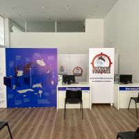 miniatura galeria