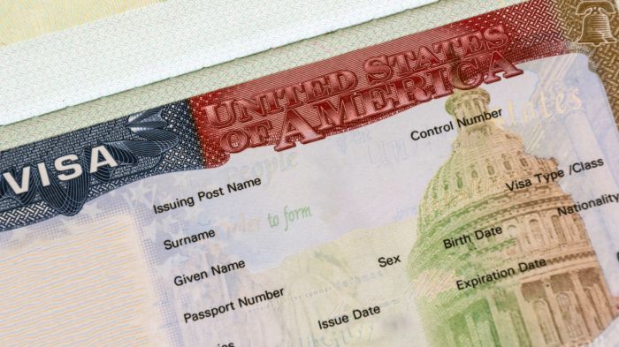 Documento vai custar cerca de R$ 900
(Foto: Divulgação)