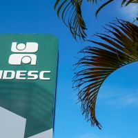 Udesc abre novos cursos de graduação