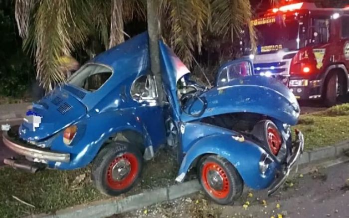 Carro quase partiu ao meio ao bater em árvore

(Foto: Divulgação)