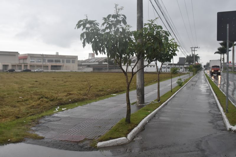 Terreno na avenida Adolfo Konder já foi mapeado; outras áreas serão analisadas