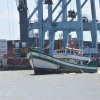 Tribunal nega recurso pra liberar a pesca industrial da tainha 