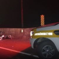 Motociclista morre ao bater em boi solto 