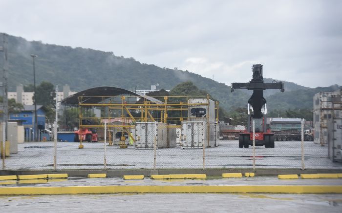 A movimentação caiu 30% no terminal do São Vicente (Foto: João Batista)