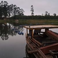 miniatura galeria
