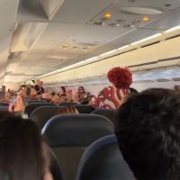 Alcione faz “show” para passageiros dentro de avião 