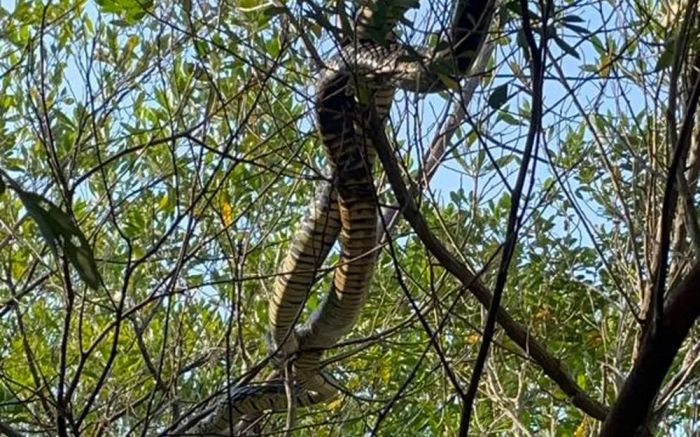 Flagra aconteceu neste sábado na Lagoa do Peri (Foto: Reprodução)
