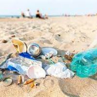 Sábado tem mutirão de limpeza na Praia Brava