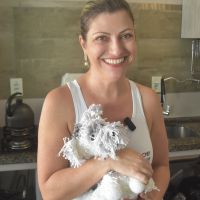 Confeitaria pet inspirada em cachorra “guardiã” que salvou a tutora é inaugurada