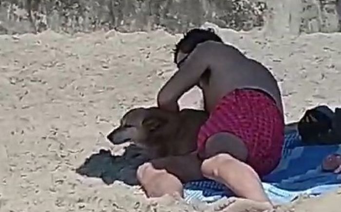 Cães são vistos na faixa de areia da praia de Cabeçudas (Foto: reprodução)