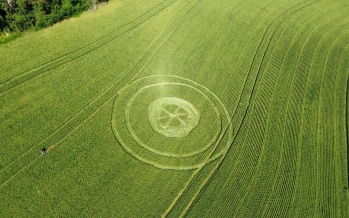 Ipuaçu é conhecida como capital nacional dos “agroglifos”
(Foto: Divulgação)