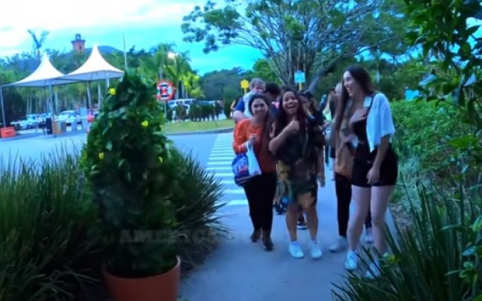 Homem-planta dá susto em turistas no Beto Carrero e Pontal Norte de BC (Foto: reprodução)