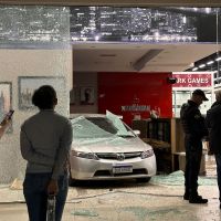 miniatura galeria