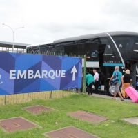 miniatura galeria