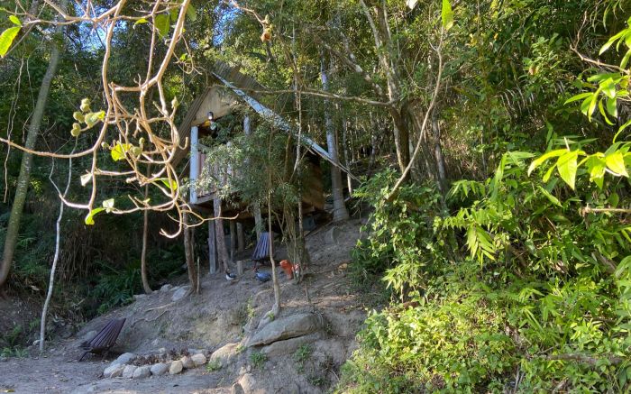 Dono de terreno é multado por construir galpão em área de mata (Foto: Reprodução)