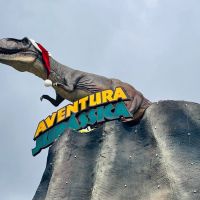 miniatura galeria