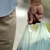 Aprovada lei que obriga uso de sacolas de materiais ecológicos