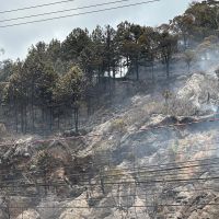 Bombeiros levam seis horas para apagar fogo em vegetação