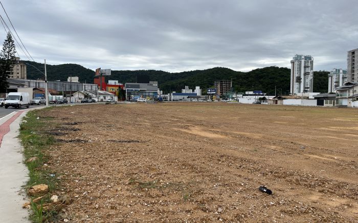 Donos do terreno derrubaram 23 árvores entre exóticas e nativas
(Foto: da redação)