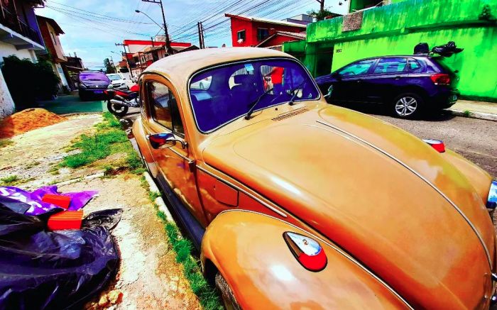 Fotos em ângulos inusitados e cores vibrantes fazem parte do projeto de fotografia em parceria com o filho Renan; imagens são publicadas no Instagram de Samuel da Costa
(foto: Renan da Costa)