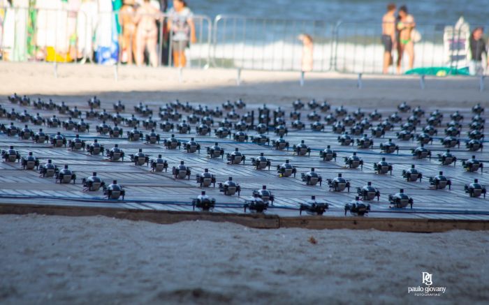 Testes com drones de Abu Dhabi iniciaram na quinta-feira. Foto: Paulo Giovany