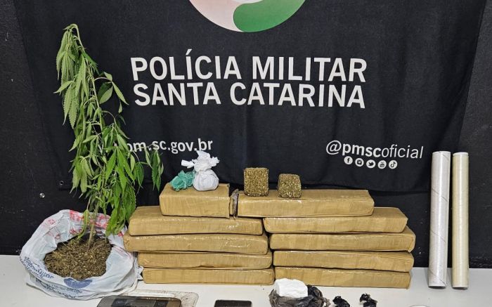 Azulão, coleiras, canário e tangará foram apreendidos em casa do bairro Várzea
(foto: divulgação)