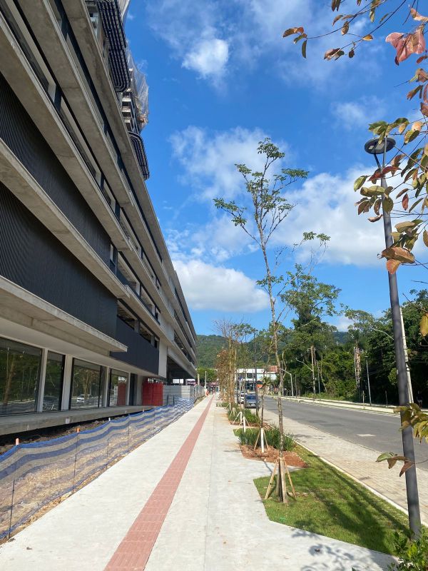 Lotisa dá um bom exemplo: arborizar passeio público da Luci Canziani (foto: divulgação)