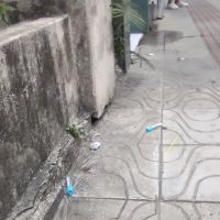 miniatura galeria