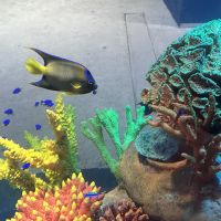 miniatura galeria