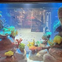 miniatura galeria