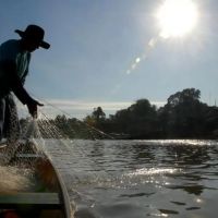 Pesca artesanal de lula é liberada pelo governo estadual