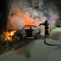 Carro acerta árvore e pega fogo na Jorge Lacerda 