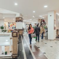 miniatura galeria