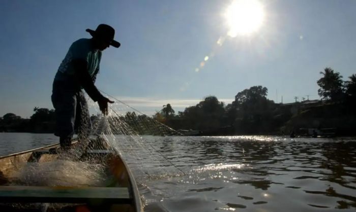 Falta de regulamentação acarreta enormes prejuízos aos pescadores artesanais (Foto: Divulgação/Agência Brasil)