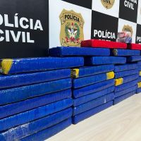 miniatura galeria