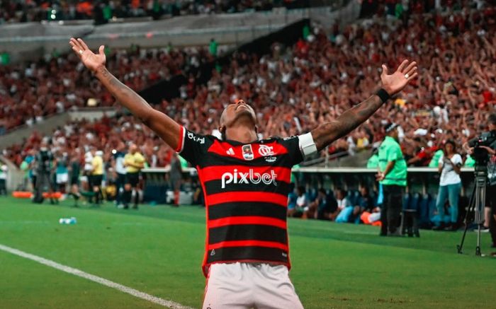 Rubro-Negro fez 1 a 0 na final  no Maracanã( Foto: Divulgação/Flamengo)