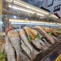 Tem tainha a partir de R$ 13 o kg nos mercados do peixe de Itajaí 