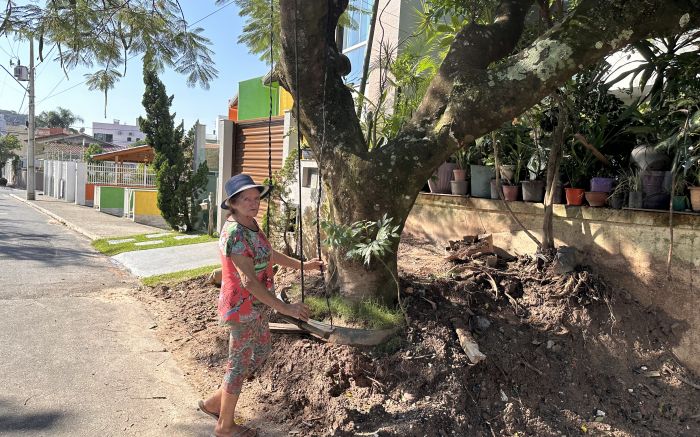 Dona Aurita mostra o flamboyant e o balanço onde crianças brincam. Passeio foi revirado por máquinas
 (Foto:  Da Redação)