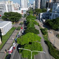 Protesto pede interrupção do projeto que destrói canteiro central de árvores na Marcos Konder  