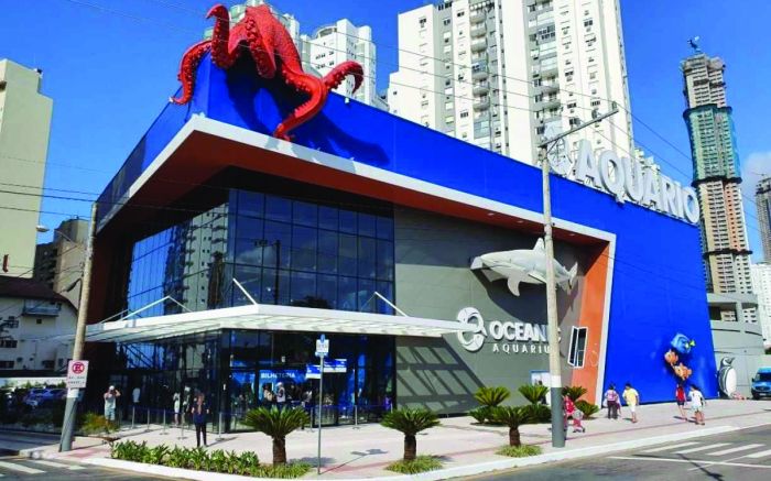 Ingresso pode ser utilizado até um ano depois da data de compra (Foto: Divulgação)