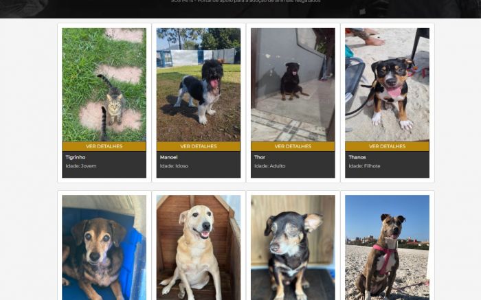 Site traz fotos e dados dos pets; interessados podem fazer contato pelo WhatsApp (Foto: Divulgação/PCSC)