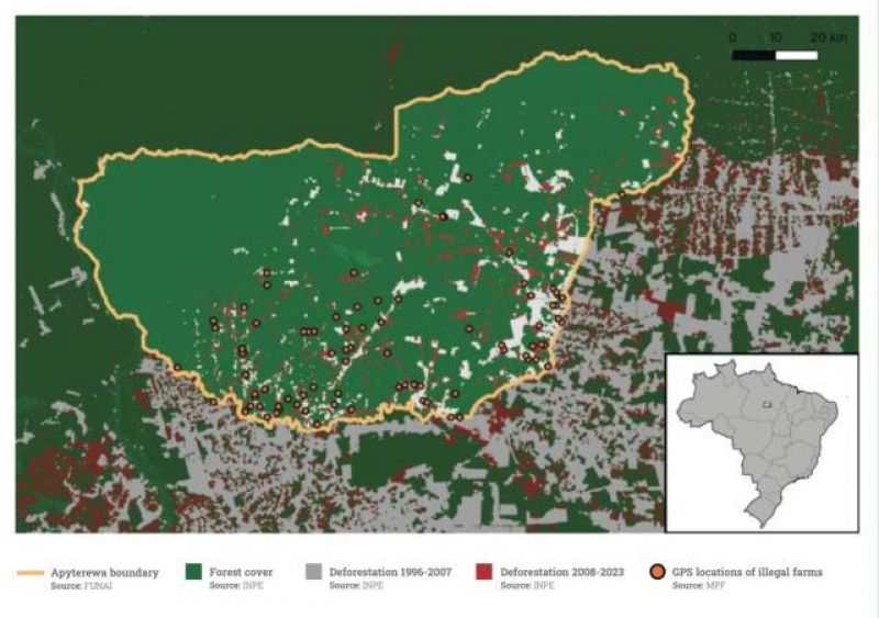 Mapa mostra as fazendas ilegais já conhecidas na terra indígena Apyterewa, bem como a cobertura florestal local e as manchas  do que já foi desmatado entre 1996  e 2023 (foto: reprodução)