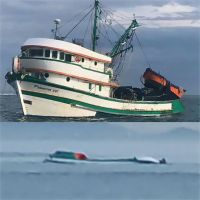 Pesqueiro de Itajaí naufraga após descarregar pescado em Laguna