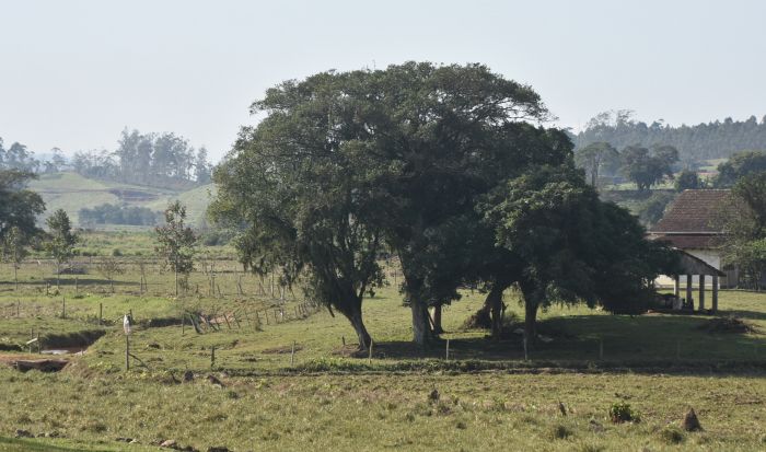 Proposta define que área útil do condomínio será a parte remanescente descontada as APPs (foto: João Batista)