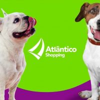 Atlântico Shopping oferece aulas gratuitas de adestramento de pets