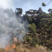 81% dos focos de calor foram em áreas de plantação e pastagem