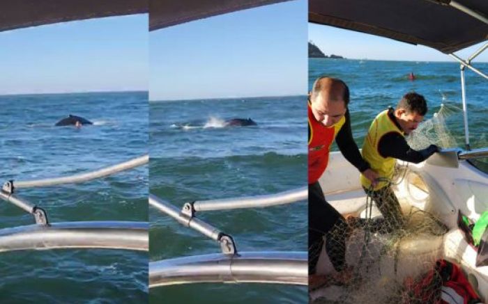 Resgate dos bombeiros durou 30 minutos e foi em dia de mar gelado e com muito vento (Foto: Divulgação/CBMSC)