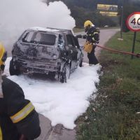 Carro é destruído pelas chamas às margens da BR 101  